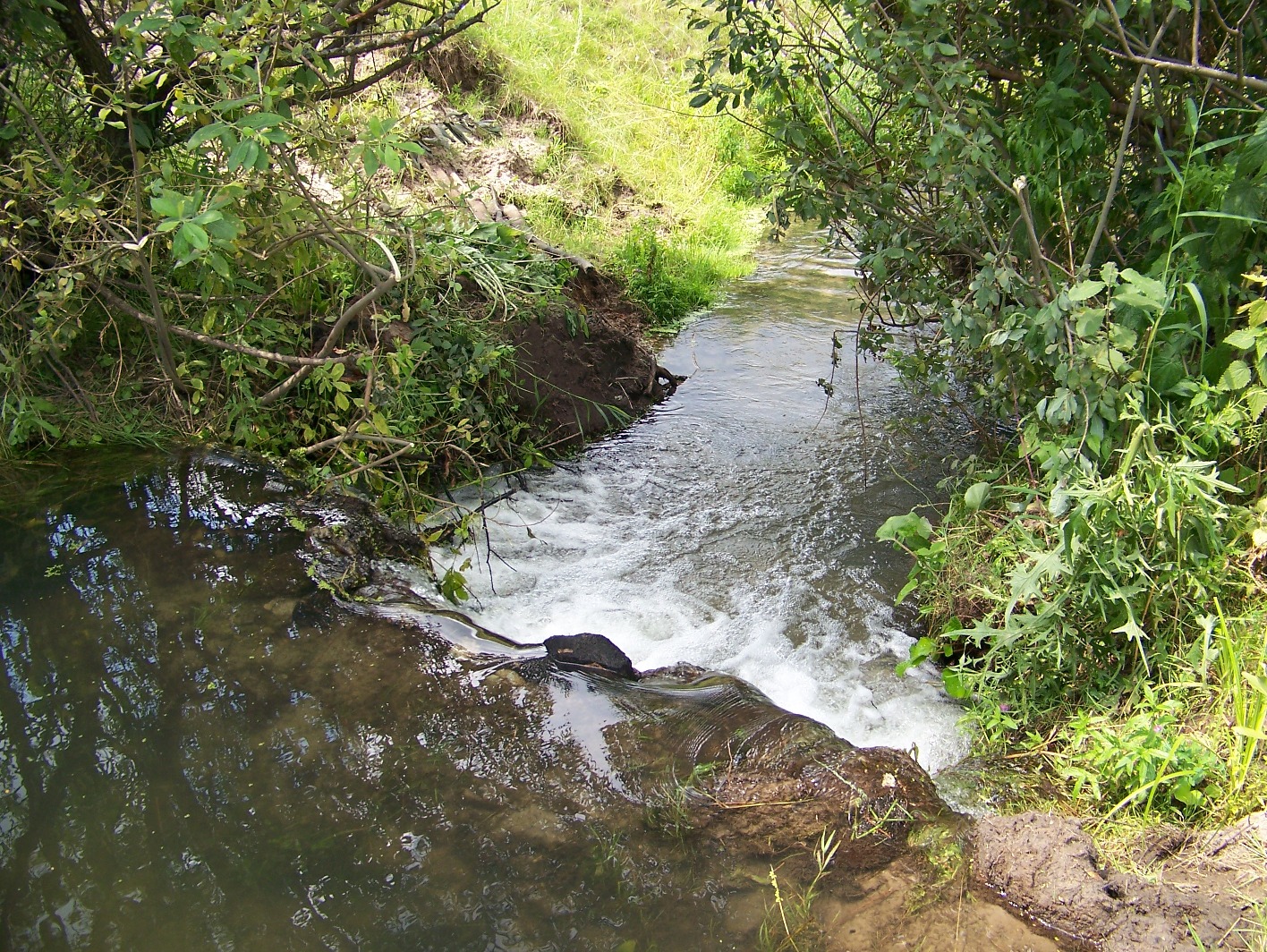 Приборы для приготовление живой воде Приборы для приготовление живой воде